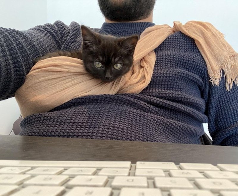 15. Maca ga nije puštala da na miru radi, pa je smislio kompromis