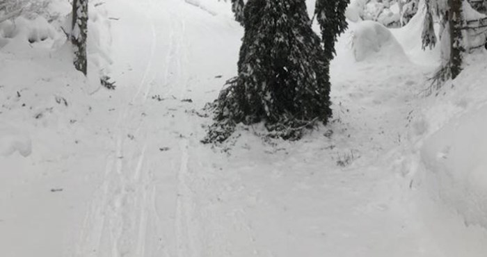 Čovjek je skijajući kroz šumu naišao na jezivu pojavu, protrnuo je od straha