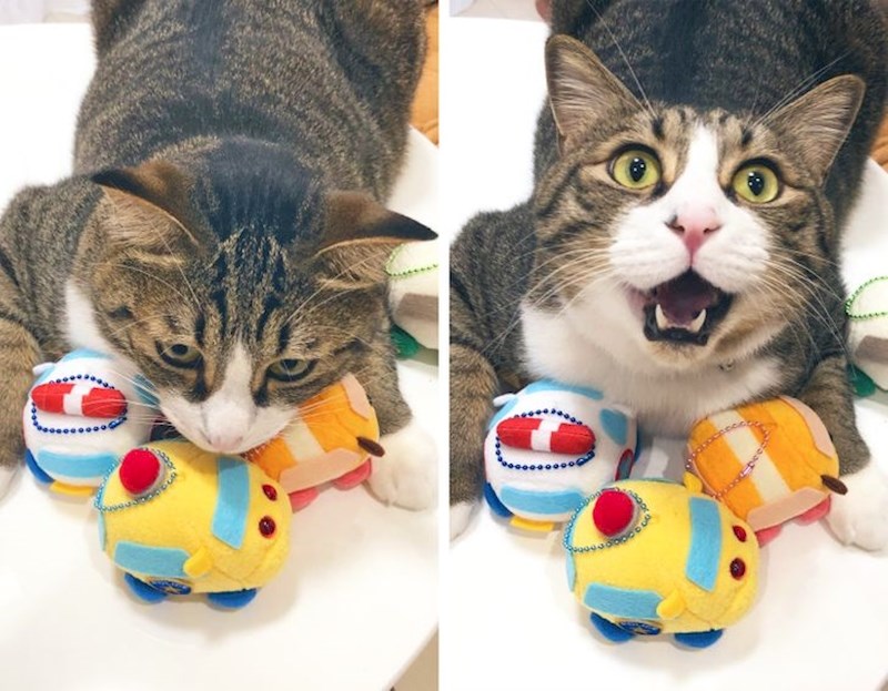 2. "Makni se od mojih igračaka!!"