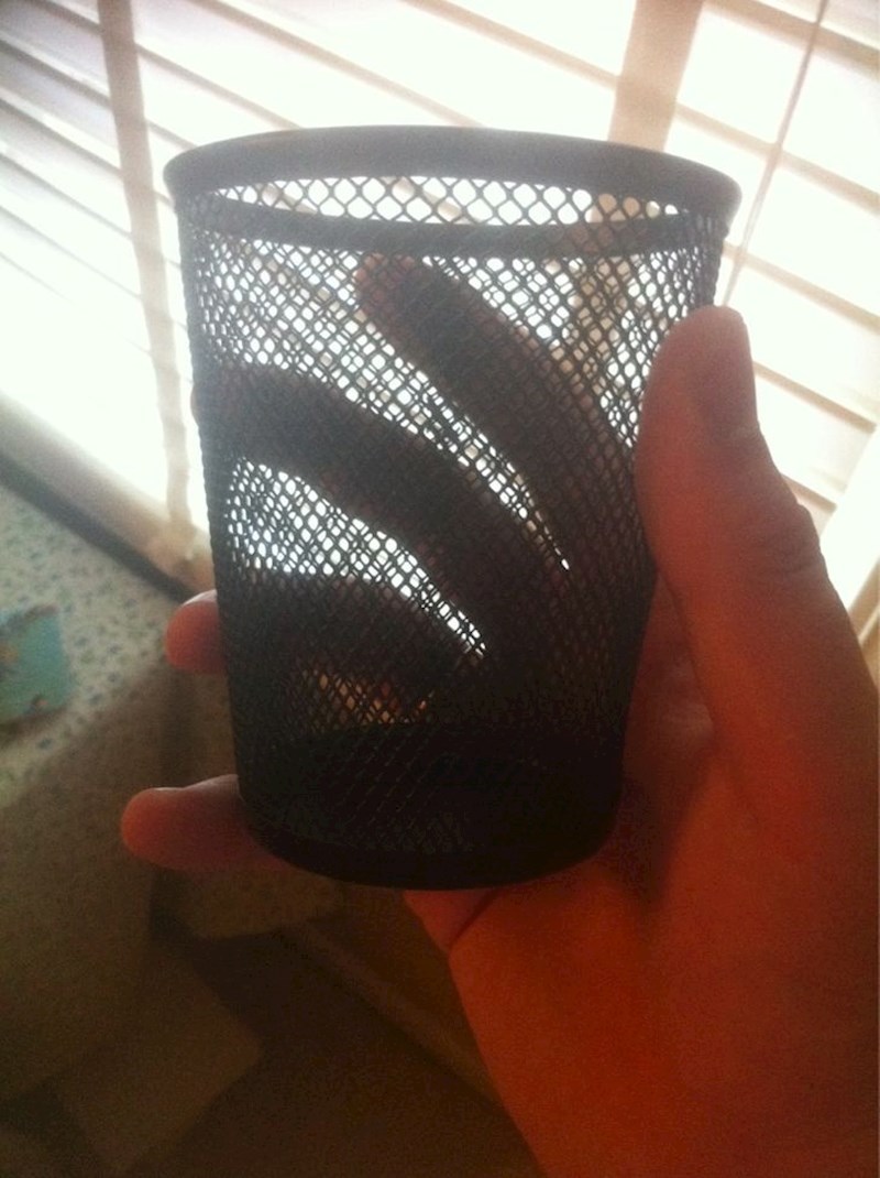 9. Mama mi je poklonila ovu čašu kad sam odlazio na faks i rekla da samo iz nje smijem piti alkohol!