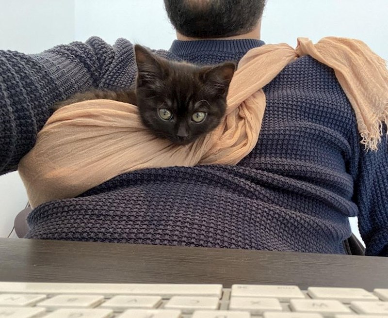 10. Maca ga nije htjela pustiti da u miru radi, pa je pronašao kompromis