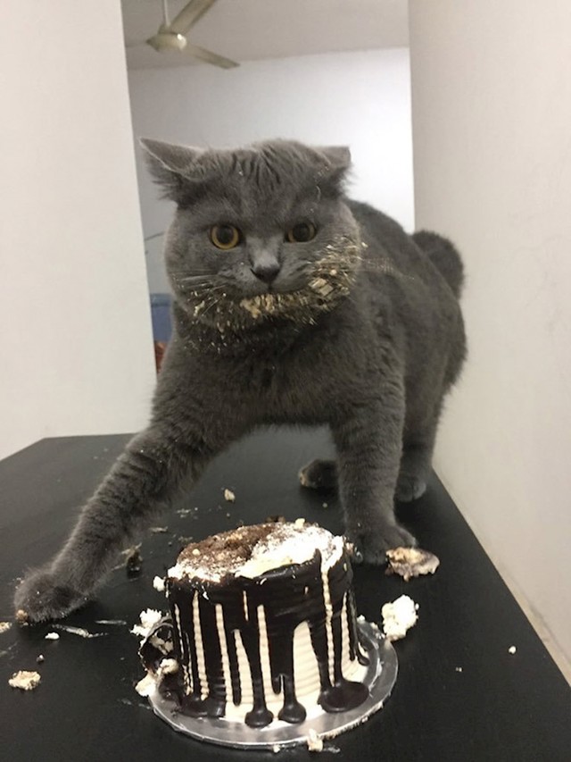 14.