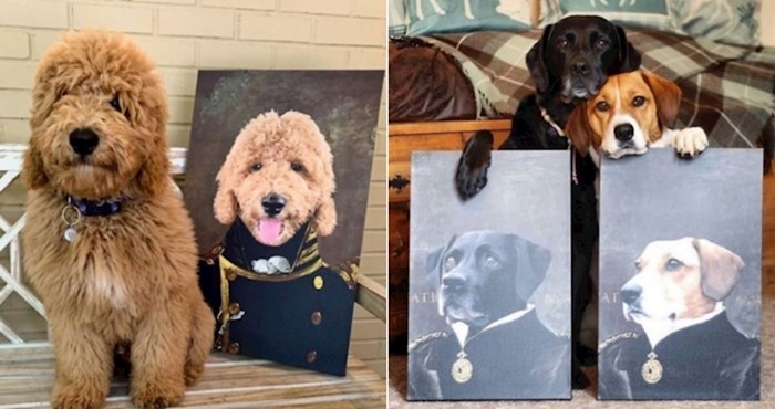 17 pasa koje vlasnici toliko vole da su im odali počast kraljevskim portretima