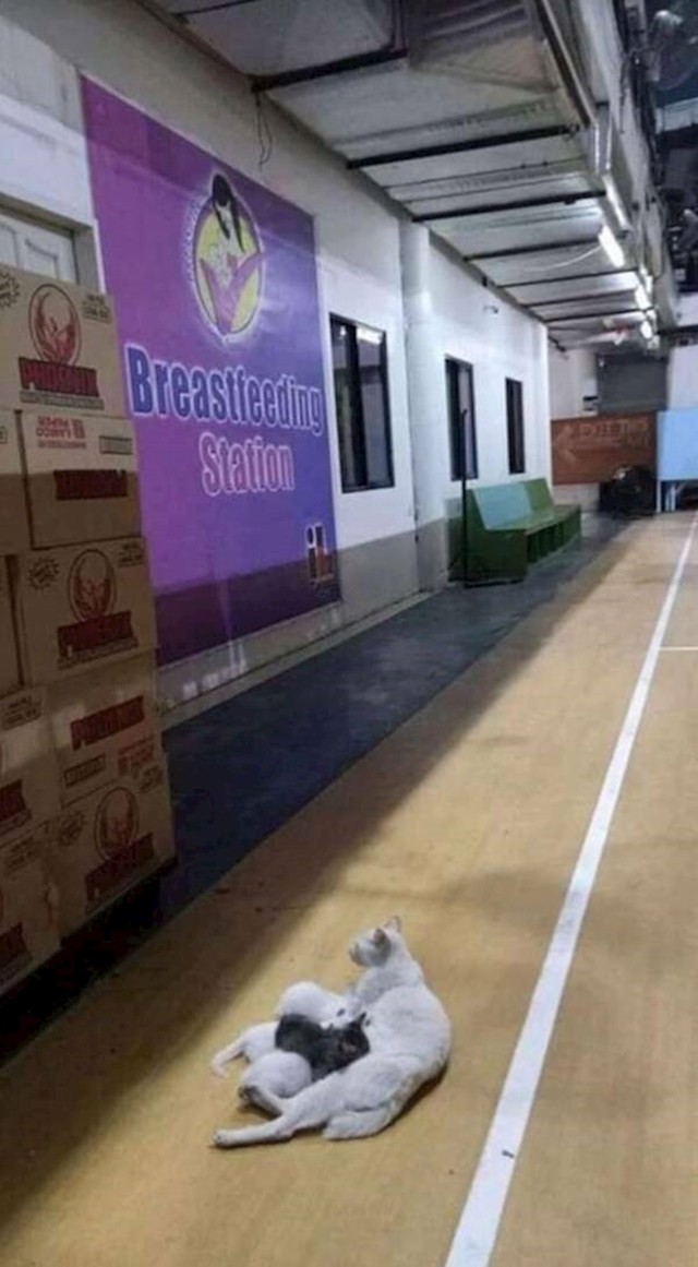 9.