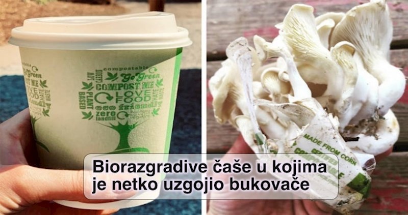 15 ekološki prihvatljivih proizvoda koji nam daju nadu u bolju budućnost