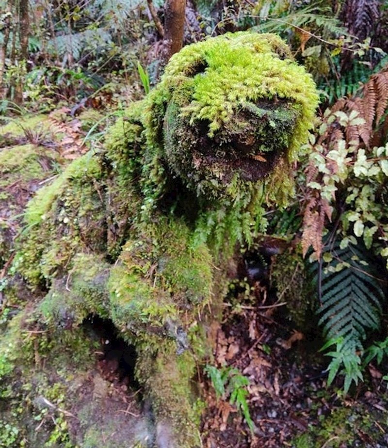 5. Panj obrastao mahovinom koji izgleda kao neko simpatično šumsko čudovište.