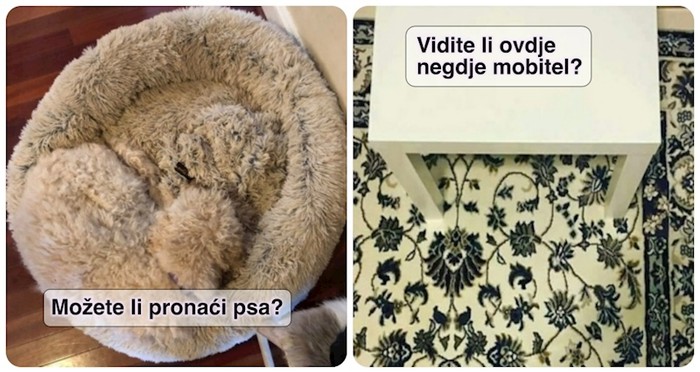 17 majstora kamuflaže koji su se stopili sa svojim okolišem i sve nas prevarili