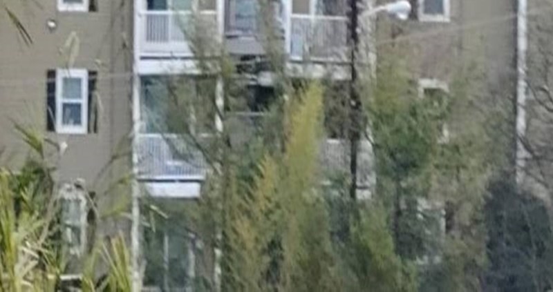 Rijedak prizor prikazuje neobjašnjivu situaciju koja se dogodila na balkonu