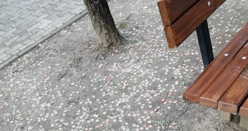 Pogled na kvartovsku klupicu inspirirao je nekoga da predloži nešto urnebesno, ovo je hit