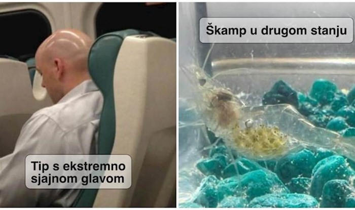 12 rijetko viđenih prizora koje su ljudi snimili i morali odmah podijeliti sa svima