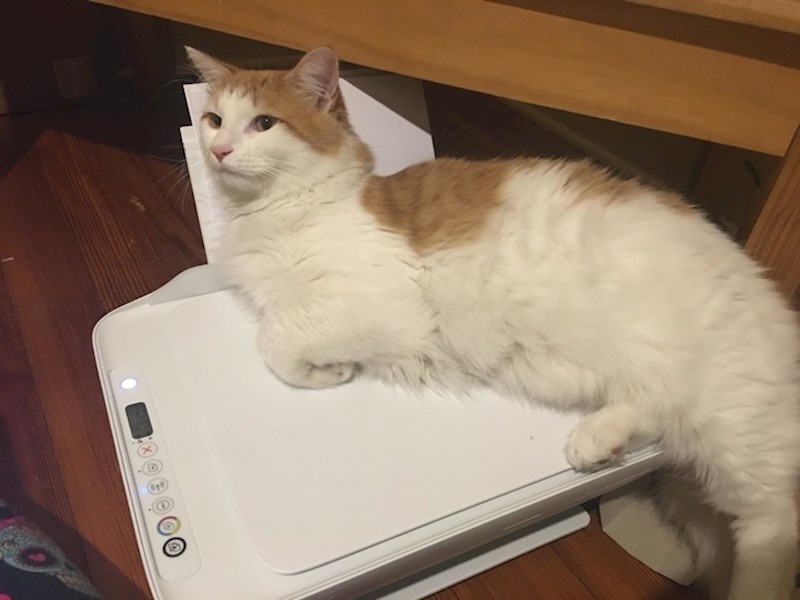 "Znam da trebaš raditi i nije me briga."