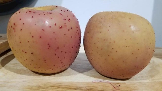 Jabuka koja je "prokrvarila" nakon prokuhavanja