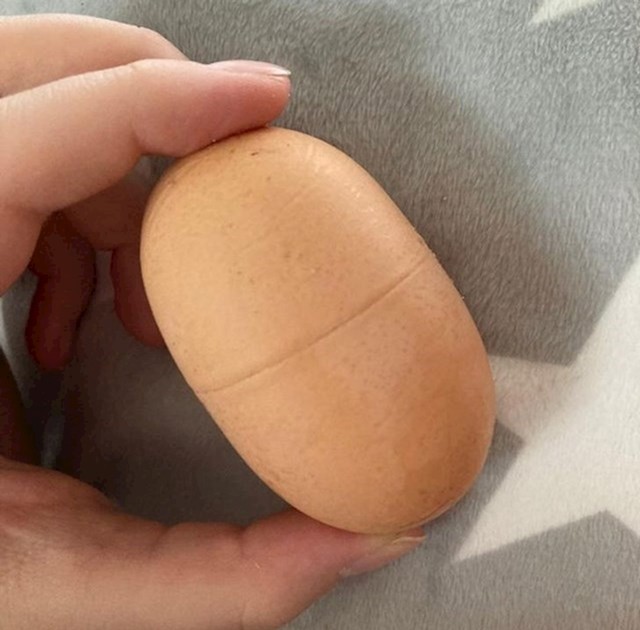 8. Kokoš je snijela kinder jaje