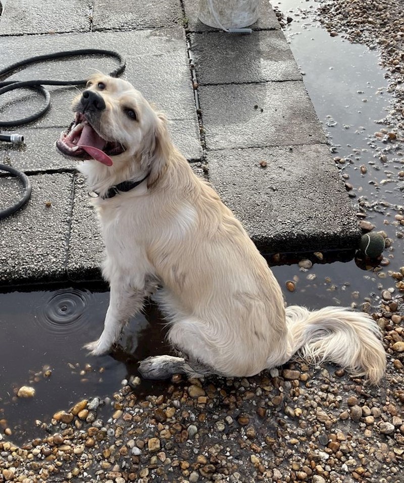 15. "Zna da ne smije gaziti po lokvama. A čini se da zna i da je jako slatka..."