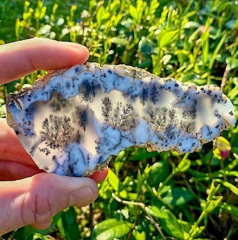 3. Izgleda kao snježna šuma.