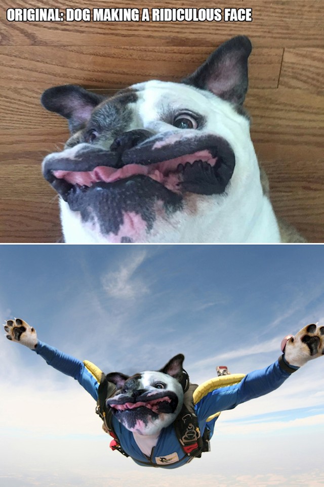 5.