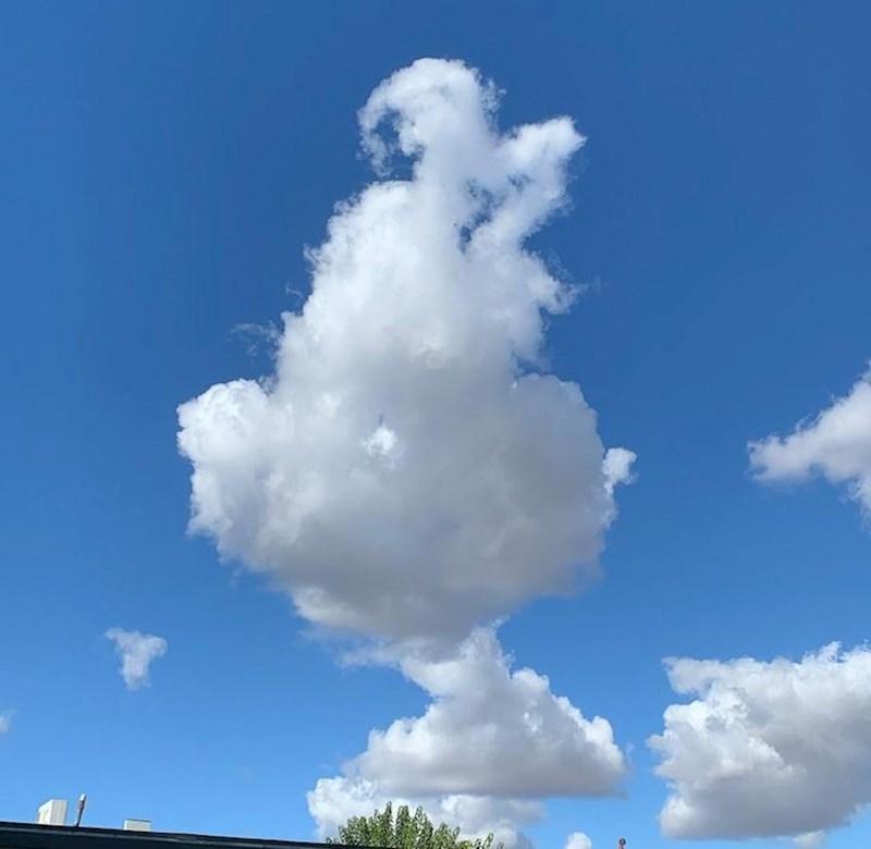 1. Vidite li Grincha u ovom oblaku?😆