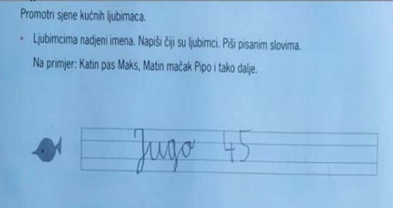 Učenik je u školskom zadatku napisao jako čudne odgovore i zabrinuo učiteljicu
