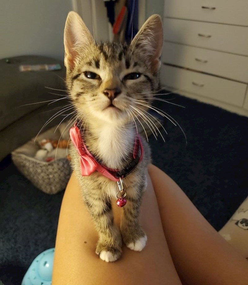 6. "Gledam te...uvijek..."