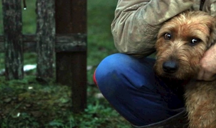 Kamera zabilježila emotivan trenutak ponovnog susreta vlasnika i psa iz Majskih Poljana