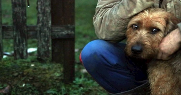 Kamera zabilježila emotivan trenutak ponovnog susreta vlasnika i psa iz Majskih Poljana