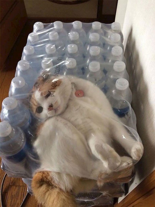8.