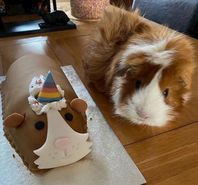 18. I on zaslužuje rođendanski poklon!🥰