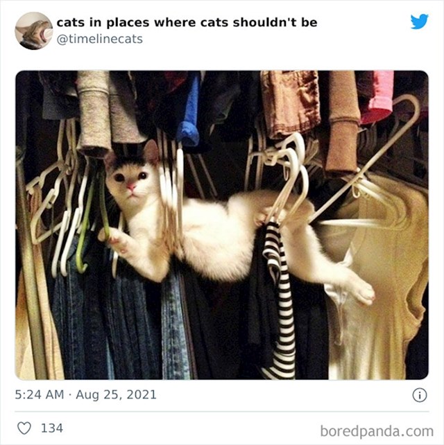 6.