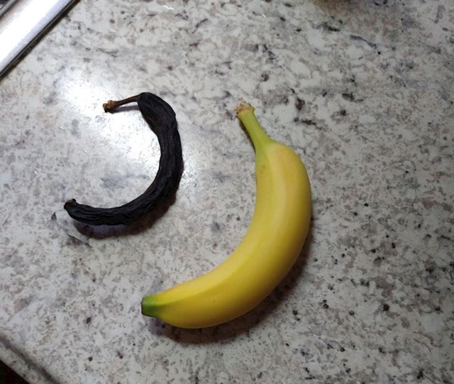 7. "Moj tata pronašao je u džepu starog kaputa bananu staru 20 godina!"