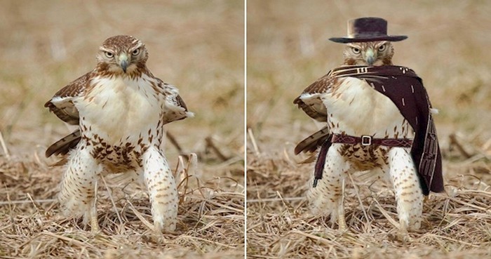 30 ljudi koji su svoje vještine u Photoshopu doveli do savršenstva