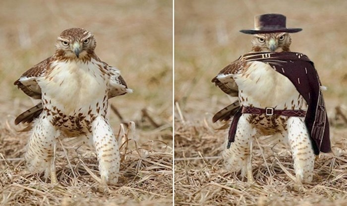 30 ljudi koji su svoje vještine u Photoshopu doveli do savršenstva