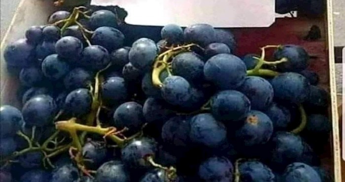 Znak upozorenja s jedne dalmatinske pijace nasmijao je ekipu na društvenim mrežama