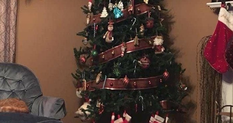 Izgleda vam kao obična božićna jelka? Pogledajte malo bolje, nešto s njom nije kako treba