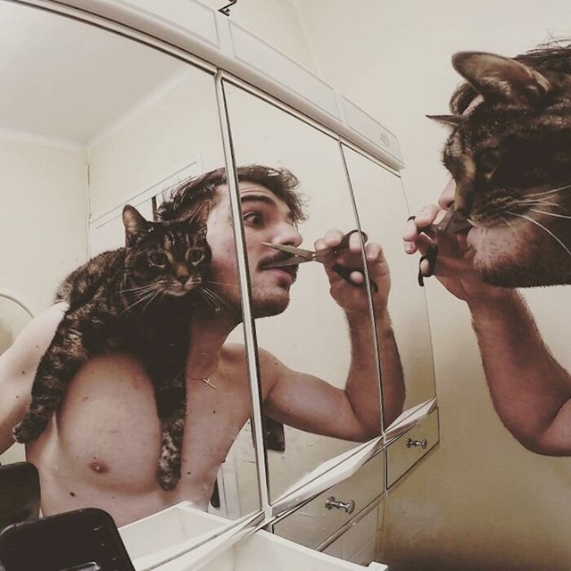29.