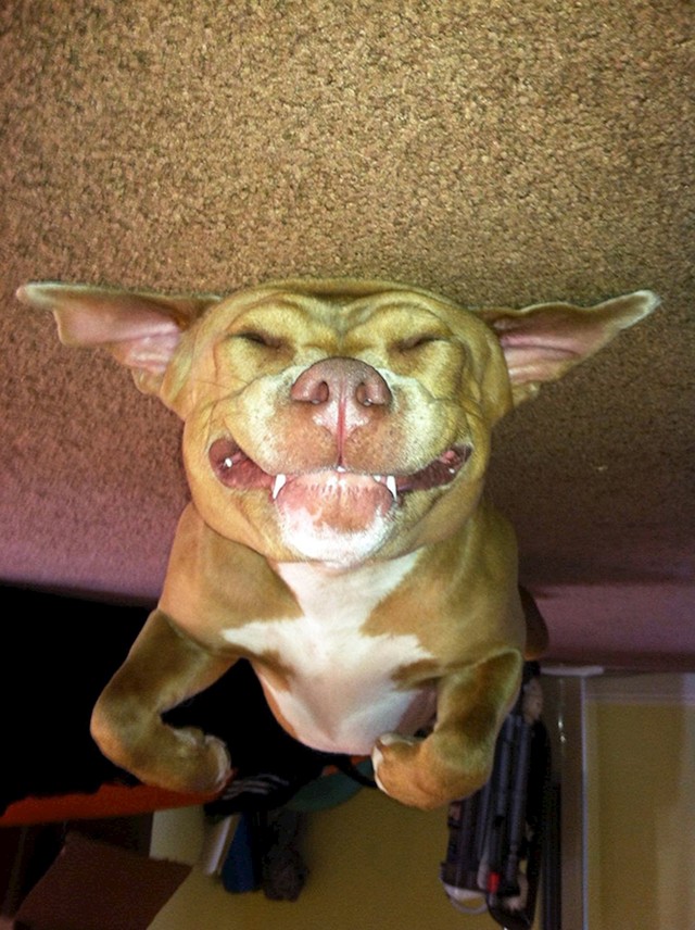 5.
