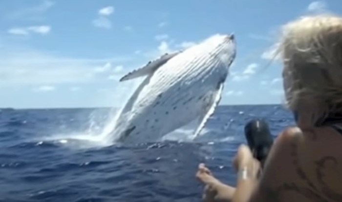 VIDEO Kamera je zabilježila nevjerojatne susrete fotografa i divljih životinja