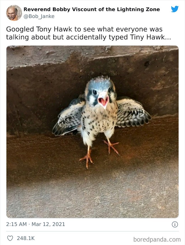 2.