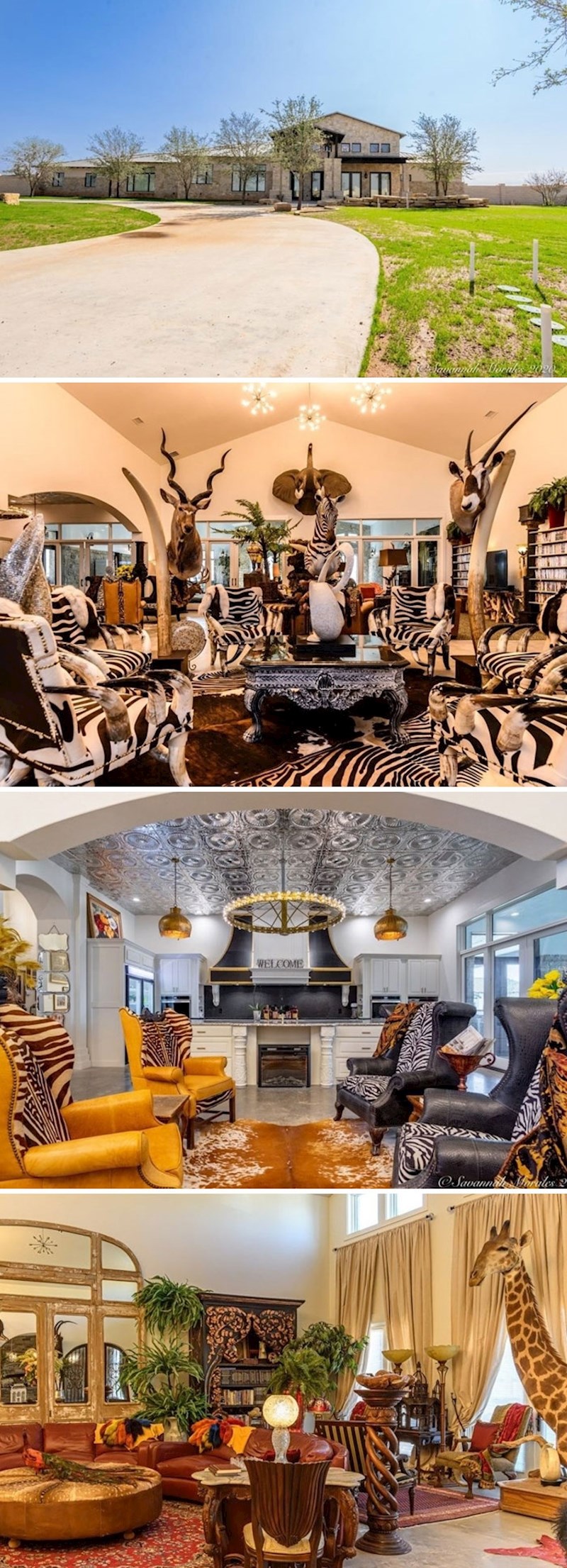 7. Safari u dnevnoj, zašto ne?😆