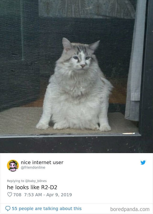 5.