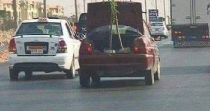 Kad vidite što ovaj tip prevozi pojavit će vam se upitnici nad glavom