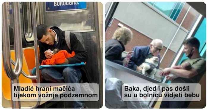 18 dirljivih fotki nakon kojih ćete se odmah osjećati bolje