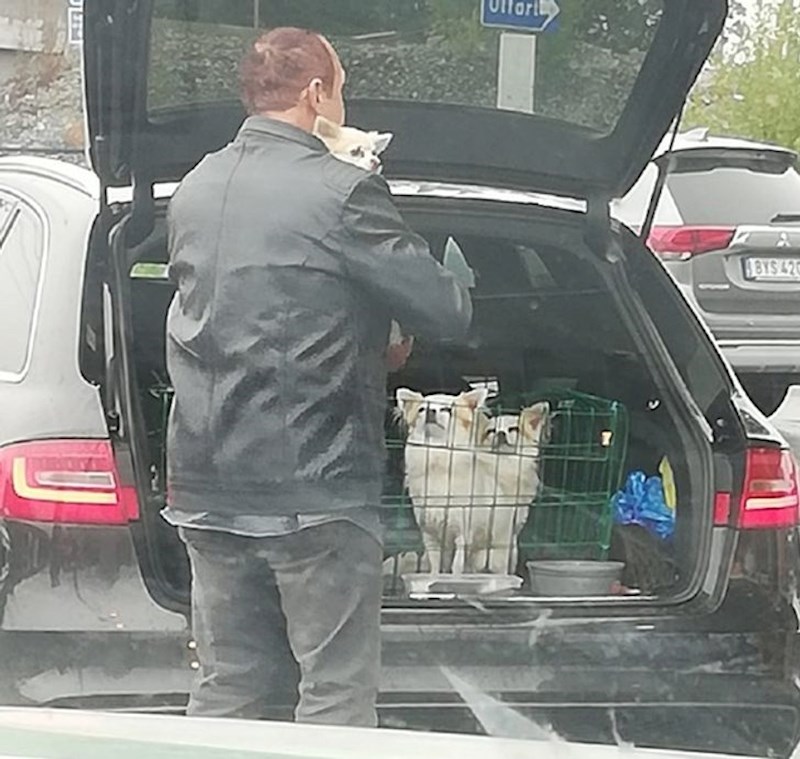 "Padala je kiša i vidio sam kako ovaj lik briše svakog svojeg psića i grli ih prije no što ih je stavio u auto."