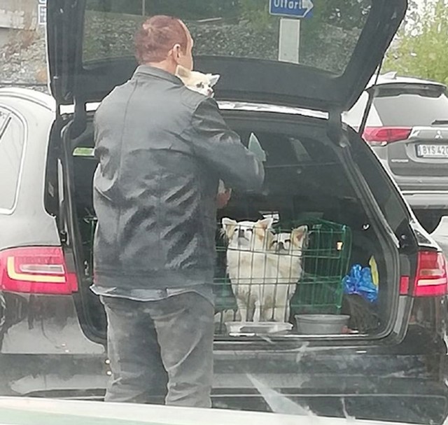 "Padala je kiša i vidio sam kako ovaj lik briše svakog svojeg psića i grli ih prije no što ih je stavio u auto."