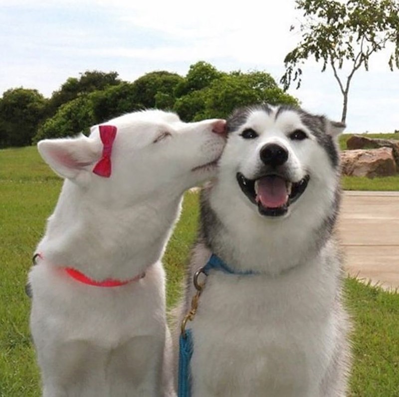 3. Samo njegova cura ga može ovako nasmijati