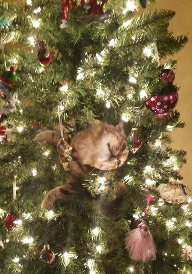 13.