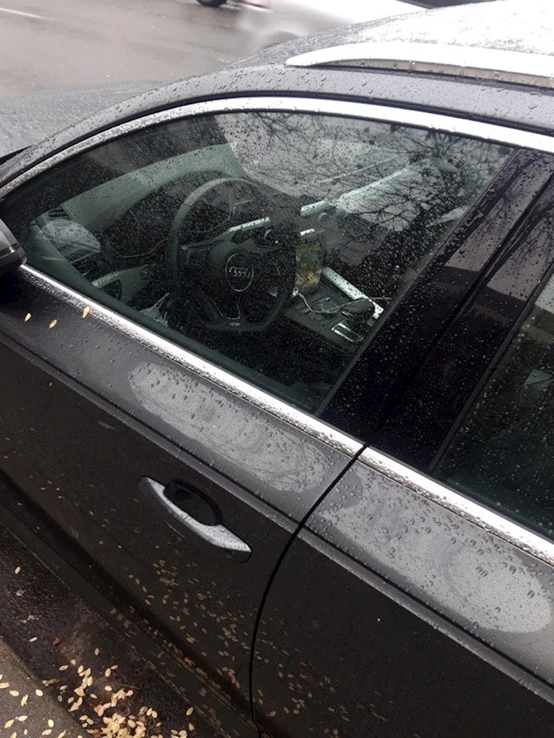 Autor fotografije je pored mjenjača pronašao "dokazni materijal"