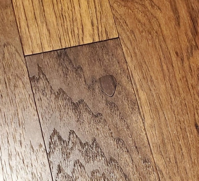 3. Trzalica na parketu