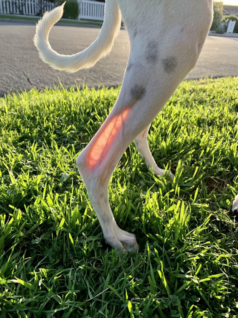 4. Proziran je na suncu