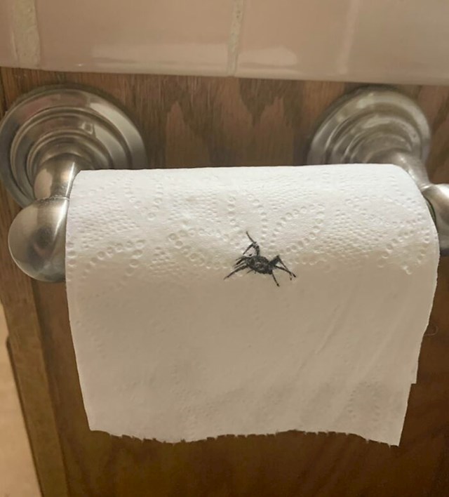 4. Nacrtala je pauka na wc papir da prepadne dečka. Na kraju je zaboravila na to, prva morala na wc i prepala sama sebe.