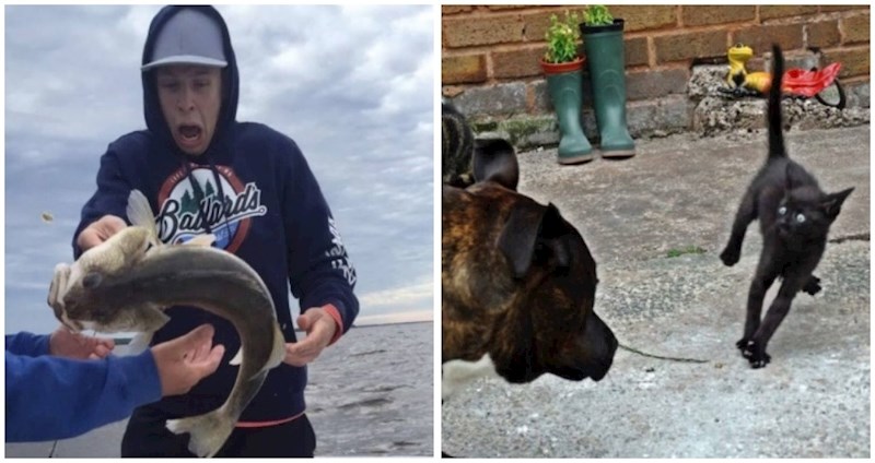 19 smiješnih primjera koji pokazuju koliko je važno snimiti fotku u pravom trenutku